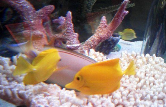 SEA LIFE Kansas City